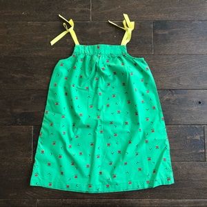 Hanna Andersson size 110 bees & flower green dress